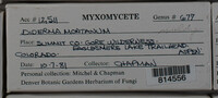Image Associated With the Occurence